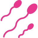 human sperm icon