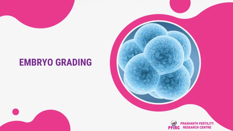 Embryo grading