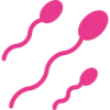 human sperm icon